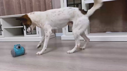 Intelligentes Balance-Spielzeug für Hunde & Katzen – IQ-Training & Slow Feeder in einem